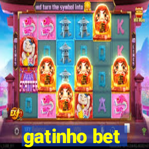 gatinho bet